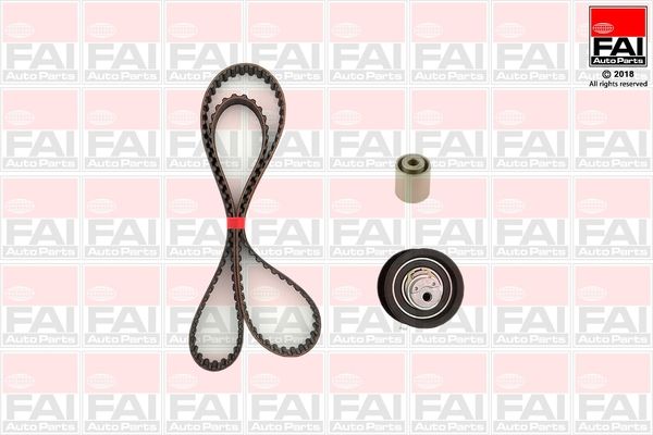 FAI AUTOPARTS Комплект ремня ГРМ TBK99